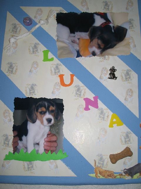 Scrapcollage a4 met thema jonge pup Luna