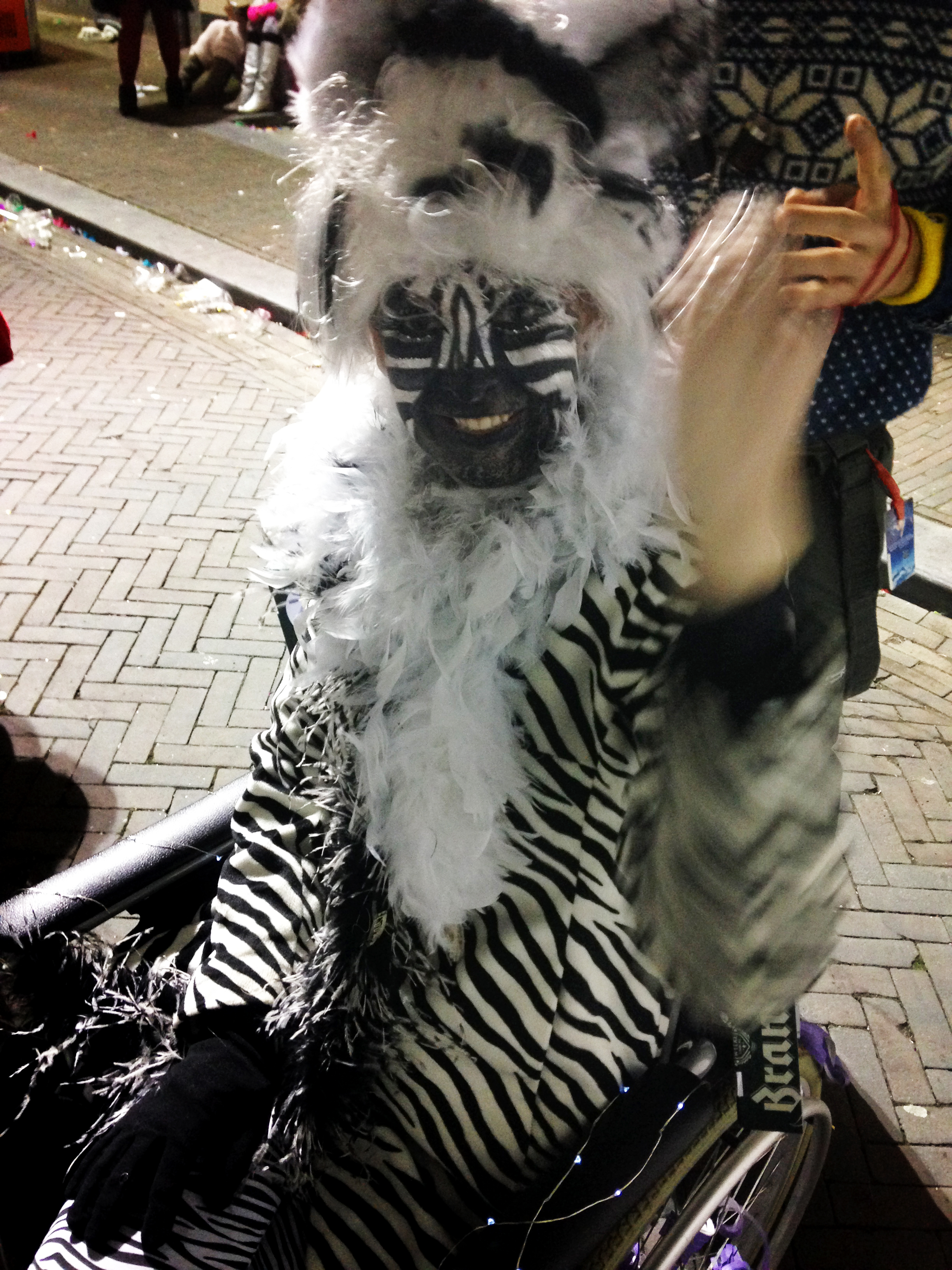 Denise Column Carnaval Zebra
