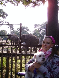 Laura in de dierentuin met de olifanten en haar hondje op schoot