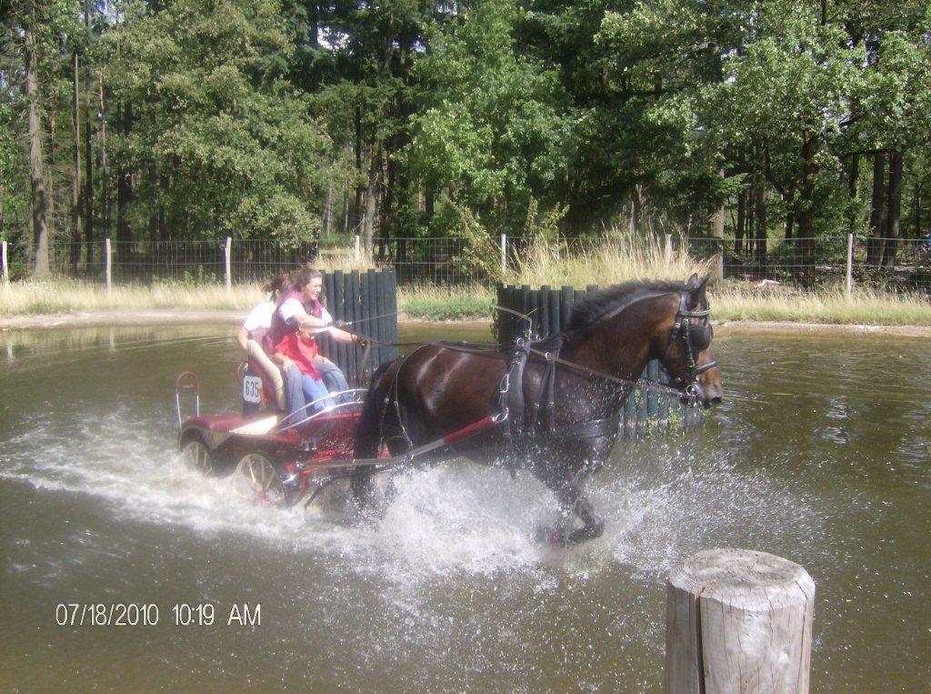 Corrie tijdens het trainen in de waterbak met haar paard